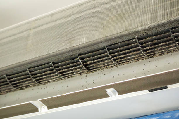 Best Air Duct Cleaning Near Me  in Batesville, AR